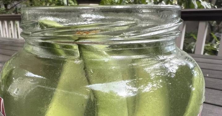 Turn your garden harvest into a peck of pickled peppers. Or cukes. Even watermelon rinds