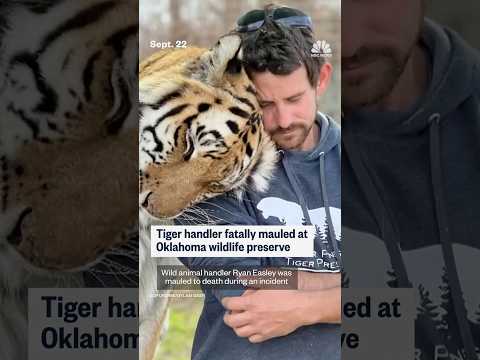 Tiger handler fatally mauled at Oklahoma wildlife preserve