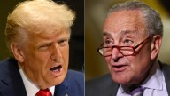 Donald Trump And Chuck Schumer Are Locked In A Bitter Feud