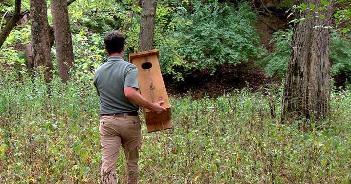 Central Illinois engineer uses work skills to protect local environments