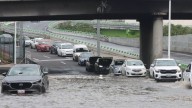 Lluvias CDMX: 22 encharcamientos y 16 árboles caídos
