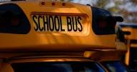 School bus crashes with students on board in Goshen, driver hurt