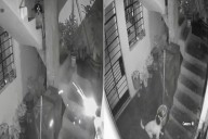 Her Dog Appears to Extinguishes Lit Dynamite Stick Thrown Near Her Home