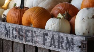 Florence’s McGee Farm prepares for its 30th pumpkin patch season
