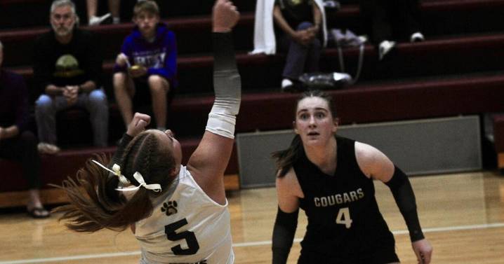 SPORTS ROUNDUP: Cougars take down Wayne at the Den