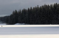 Sweden and Finland urge revision of EU’s forestry climate targets