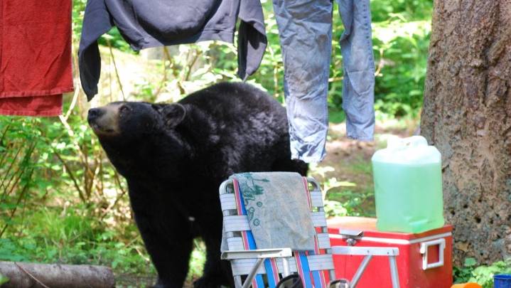Camping is different in the fall. Here's what to do
