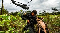 Qué es la descertificación que EE.UU. podría aplicar a Colombia y por qué es clave en la lucha contra las drogas
