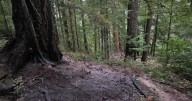 Final mop-up underway for lightning-caused fires in Douglas County