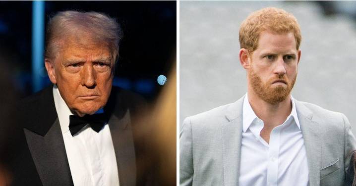 EXCLUSIVE: Prince Harry Feared Deportation After Trump's UK Dig