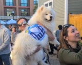 What the Fluff did I just eat? Inside the nutty festival that is pure Massachusetts