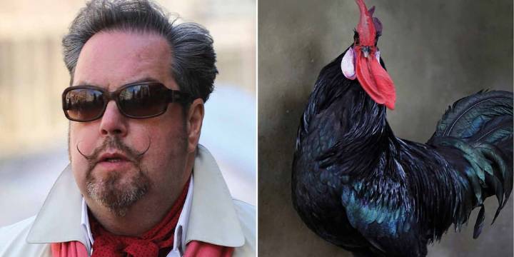 “Avistaje”, conexión y paralelismos con el animal que (me) mira