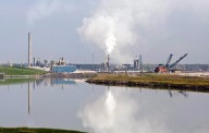 More companies are reporting emissions even as actual reductions lag: report