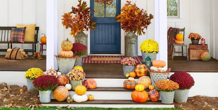 My Porch Mums Always Last Longer Than My Neighbors. My Secret?