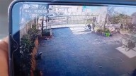 Video: una mujer ató a su perro al auto y lo arrastró por varias cuadras