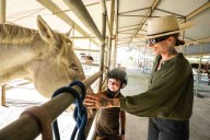 Admired in the equestrian community, Ride On offers therapeutic horseback riding