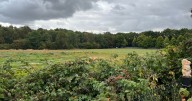 Residents fail to prevent rethink over access to 88-home development near racecourse