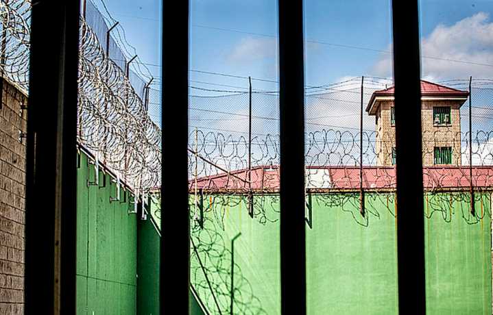 Hartazgo en prisión por una plaga de chinches desde hace 1 año