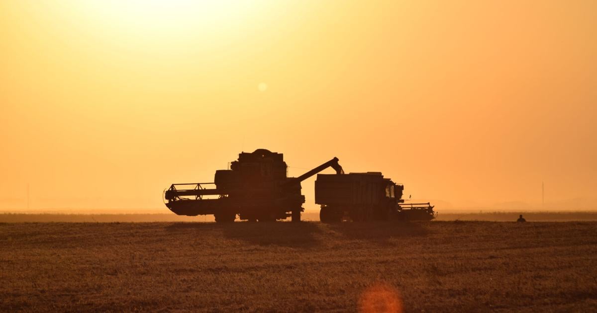 Trump's trade battle with China puts US soybean farmers in peril