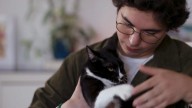 Los gatos, compañeros que refuerzan la autoestima y ayudan a superar momentos difíciles