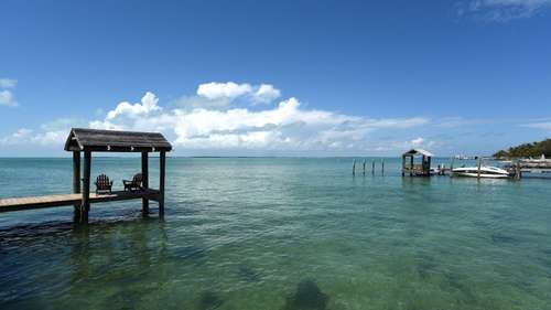 Shark bites boy in Florida Keys