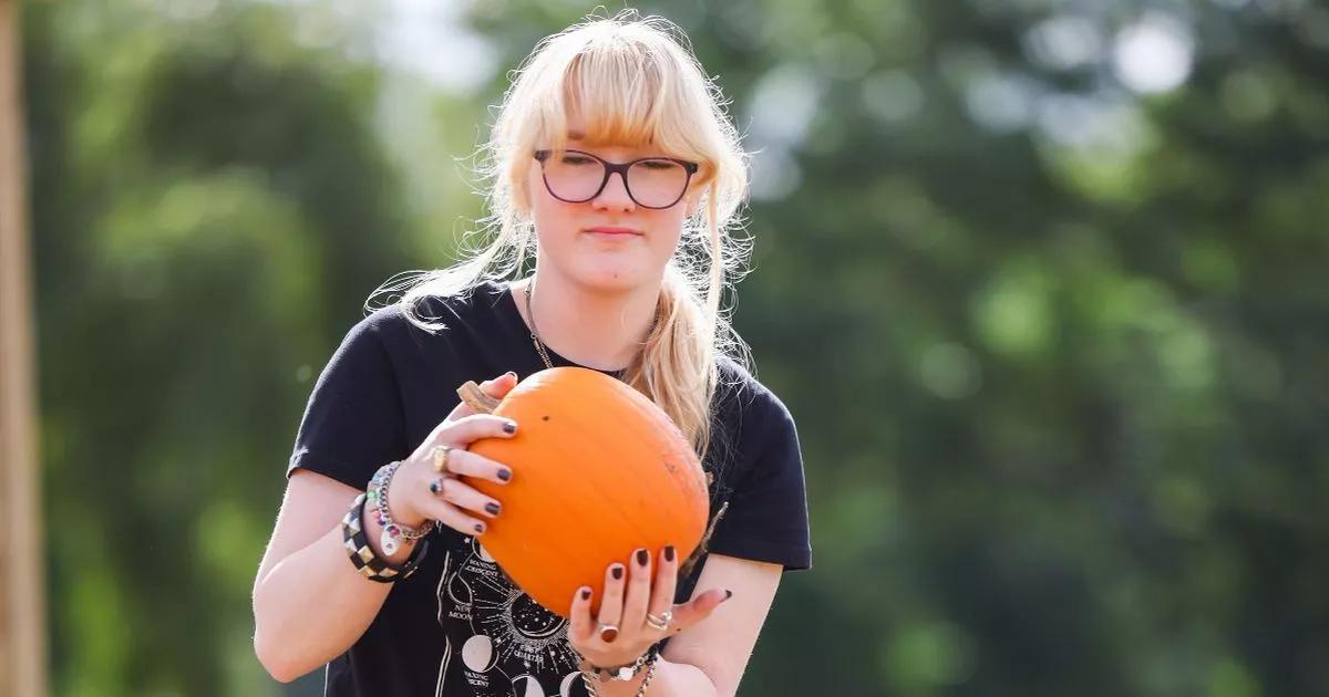 Halloween 2025: The best pumpkin picking patches in Bristol
