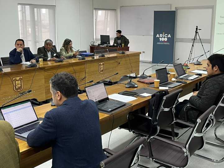Arica 100: Los 6 proyectos clave que podrían transformar la región rumbo al 2029