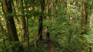World Travel Awards 2025: Chile se coronó en cinco categorías de los "Óscar del Turismo"