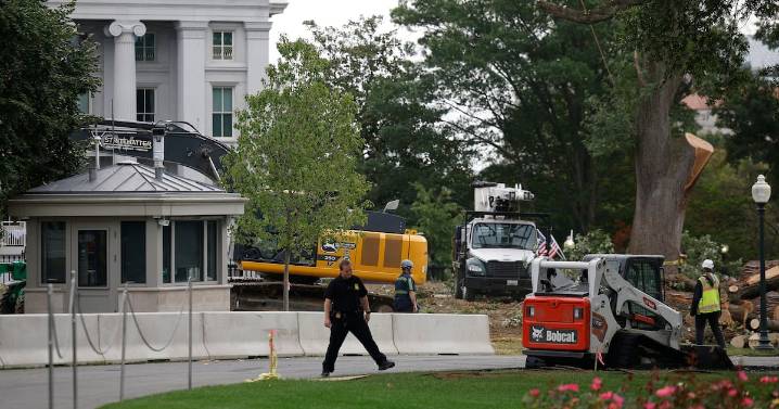 Trump Tears Down White House Trees to Make Way for His $200M Ballroom