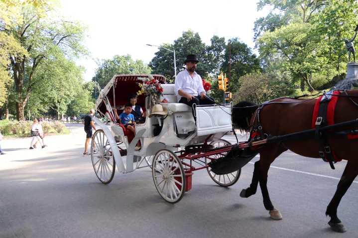 Adams backs horse-drawn carriage ban, calls for electric alternatives