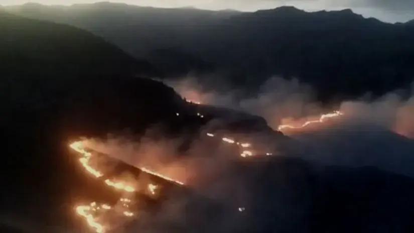 Arequipa: incendio forestal en Caylloma arrasa con al menos 50 hectáreas de áreas naturales en Tisco