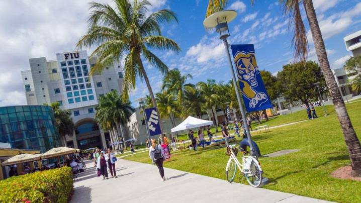 Florida se consolida como potencia académica: universidades estatales destacan en ranking nacional