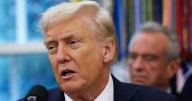 Trump says government shutdown is "probably likely"