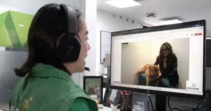 Televet, el servicio gratuito de teleorientación veterinaria de Bogotá