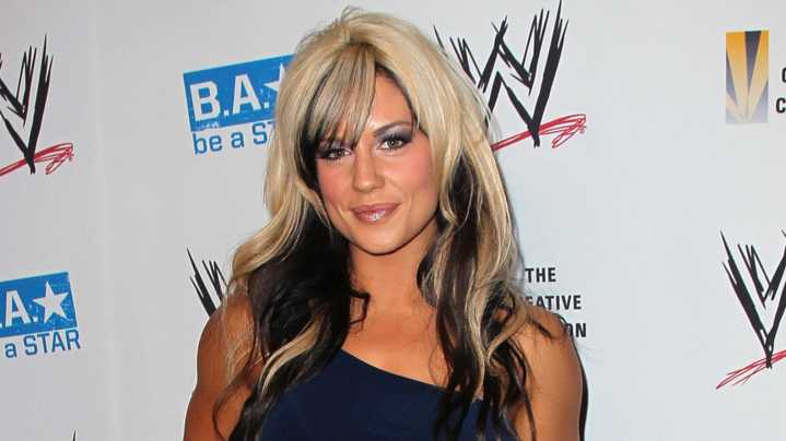 WWE Diva Kaitlyn Is Unrecognizable Now