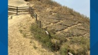 Boise police seek help with Camel's Back vandalism