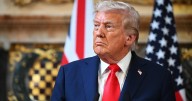 Judge won't reinstate 8 government watchdogs fired by Trump