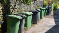 You could face £1,000 fine for this honest black bin mistake