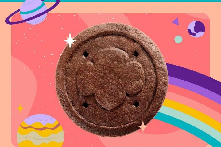 Girl Scouts Introduce New Exploremore Cookies For 2026
