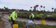 Yanney Park gardens give back to Kearney with help from caretakers