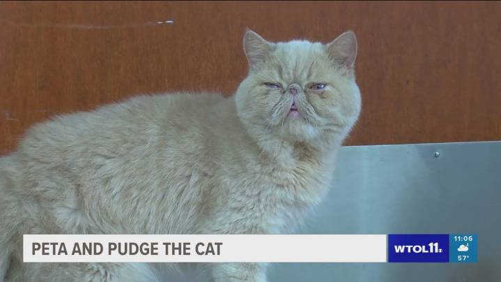 BGSU students to PETA: Keep your paws off Pudge