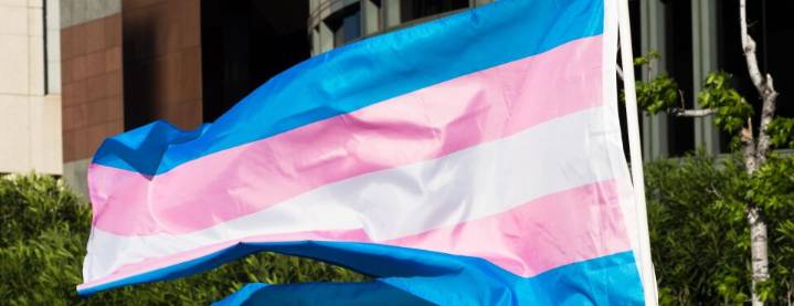 Missouri Top Court Silent on Constitutionality of Trans Care Ban