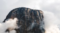 Popular National Park Urges Visitors To Halt All Outdoor Activities As Wildfire Burns Through Ancient Sequoias