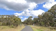 7NEWS breaking news live blog:  Man killed when car veers off road, crashes into trees