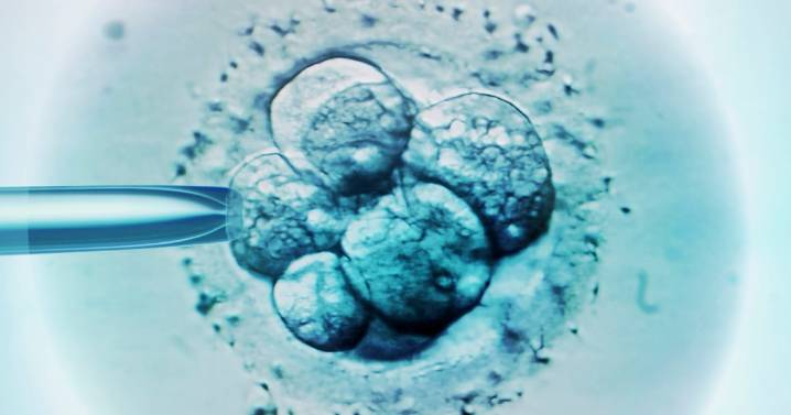 Dueling approaches to infertility vie for Congress' attention