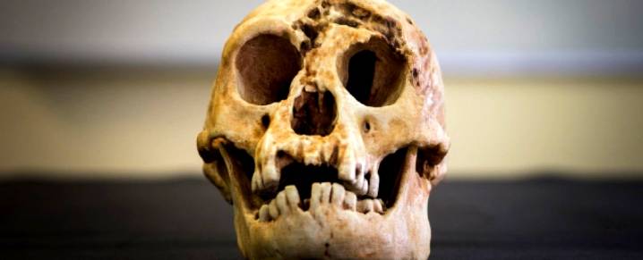 Scientists Finally Reveal Why 'Hobbits' Were So Small