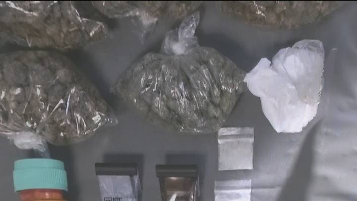Alleged crime ring in DeKalb County dismantled; 14 arrested