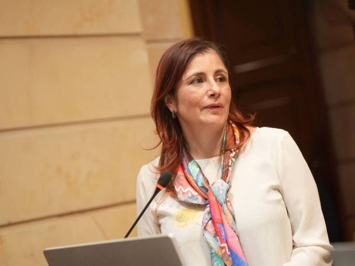 Defensora pide al Senado elección independiente para la Constitucional 