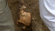 Encuentran restos arqueológicos de más de mil años de antigüedad durante trabajos de instalación de gas natural en Surco