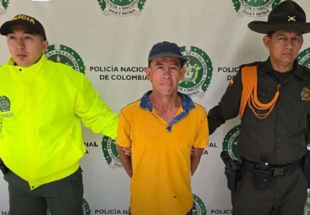 ¡Increíble! Hombre condenado por ahorcar un gato fue dejado en libertad, en Bucaramanga